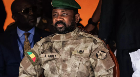 Malis Junta stellt bis auf weiteres alle politischen Aktivitaeten ein