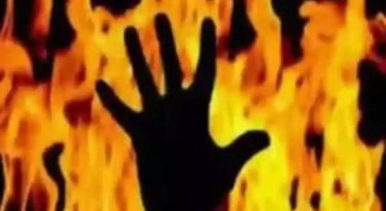 Mann der britische Moscheebesucher in Brand steckte auf unbestimmte Zeit