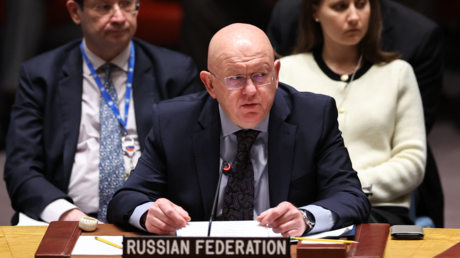 Russland bittet die Vereinten Nationen Sanktionen gegen Israel in Betracht