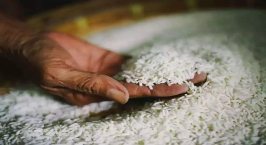 Russland warnt Pakistan wegen pflanzengesundheitlicher Bedenken vor einem Reisimportverbot