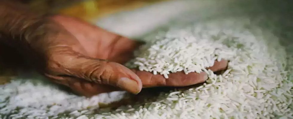 Russland warnt Pakistan wegen pflanzengesundheitlicher Bedenken vor einem Reisimportverbot