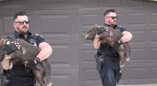 Sehen Sie sich ein virales Video an Polizist aus Utah