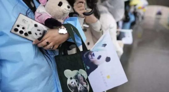 Suedkoreaner nehmen emotional Abschied vom geliebten Panda der nach China