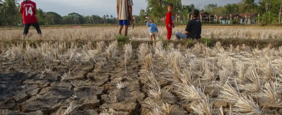 Was sind El Nino und La Nina