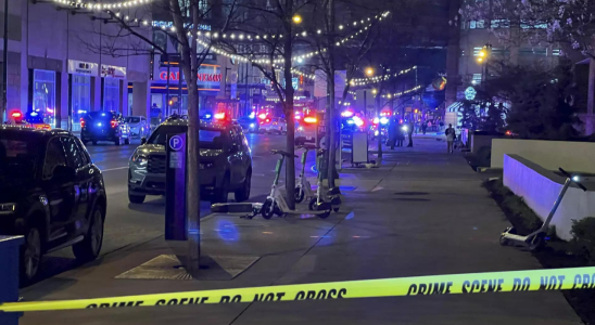Zwei Tote und sieben Verletzte bei Schiesserei in einer Martini Bar