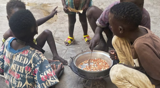 „Schwere Hungerkrise Menschen im Sudan greifen zum Ueberleben auf den