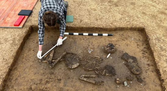 6800 Jahre altes Skelett in Deutschland entdeckt