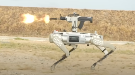 China praesentiert mit Sturmgewehren ausgestattete Roboter „Hunde VIDEO — World