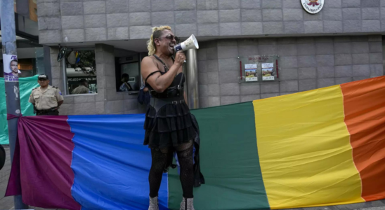 Demonstranten in Peru fordern die Aufhebung des Gesetzes das Transgender