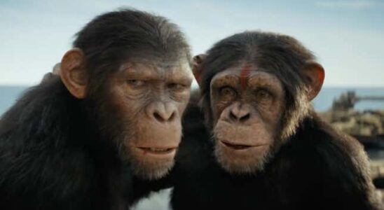Die Kinokassen laecheln ueber das Koenigreich des Planet der Affen