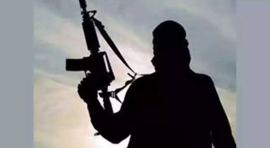 Die Terrormiliz Islamischer Staat gibt an hinter einem Angriff auf
