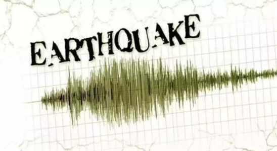 Erdbeben der Staerke 64 erschuettert die Vanuatu Inseln