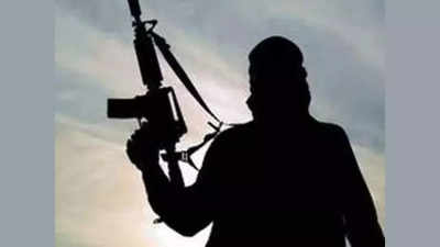 Mindestens 20 Tote bei bewaffnetem Angriff in Zentralmali