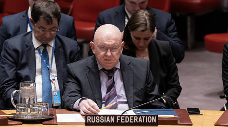 UN Resolution untergraebt Frieden in Bosnien – Russland — RT Weltnachrichten