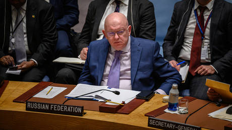 USA haben UN Sicherheitsrat als Geisel genommen – Moskau – World