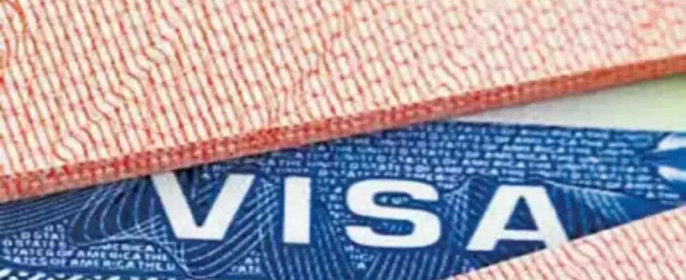 USA verhaengen Visabeschraenkungen und ueberpruefen Zusammenarbeit mit Georgien