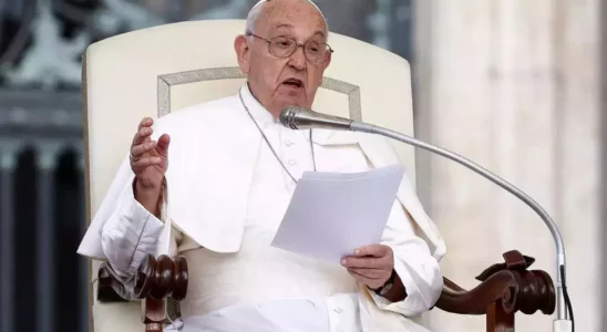 Vatikan Papst Franziskus entschuldigt sich nach angeblicher Verwendung einer homophoben.webp