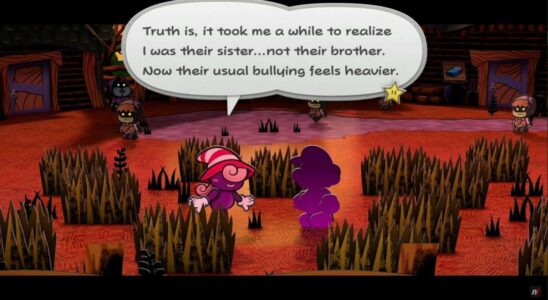 Vivian laesst die Trans Identitaet in Paper Mario The Thousand Year Door