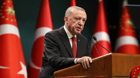 Wer will dass Erdogan weg ist — RT Weltnachrichten