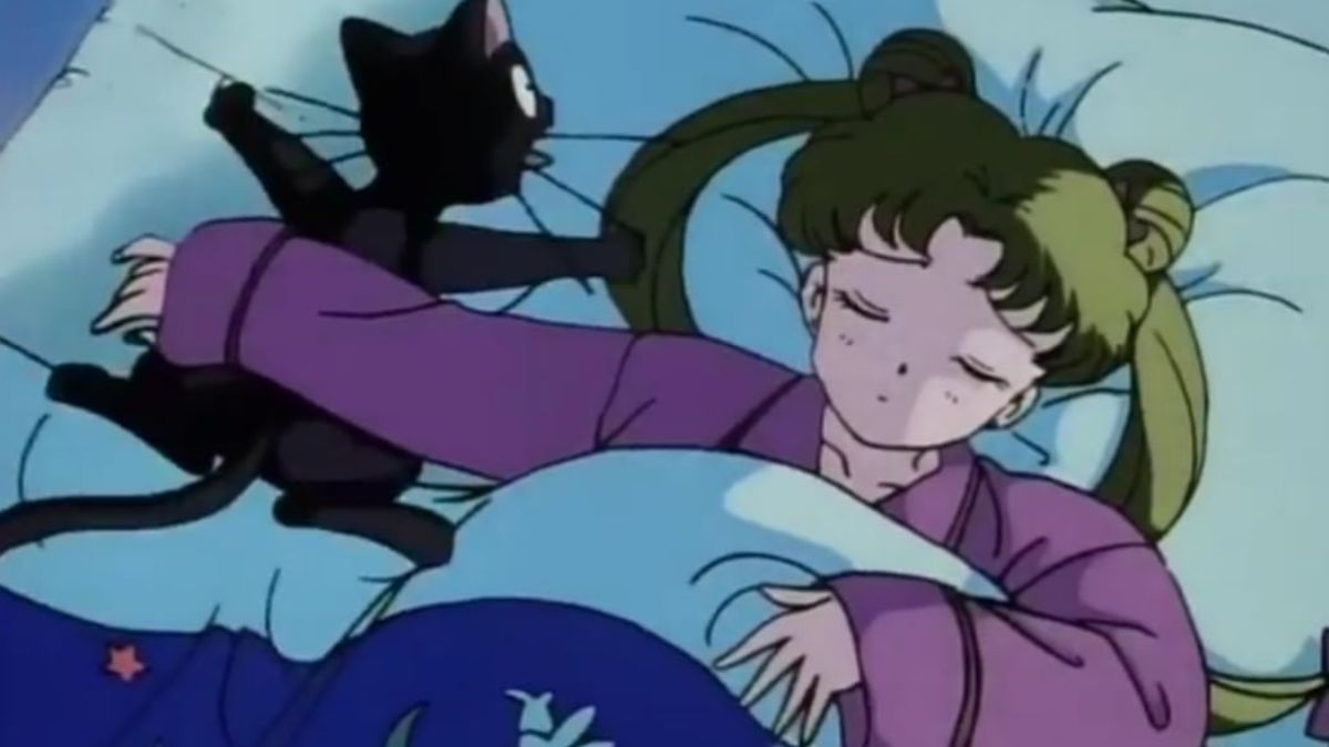 Screenshot von Sailor Moon, der Usagi und Luna beim Schlafen zeigt, wobei Usagis Arm über Luna liegt.