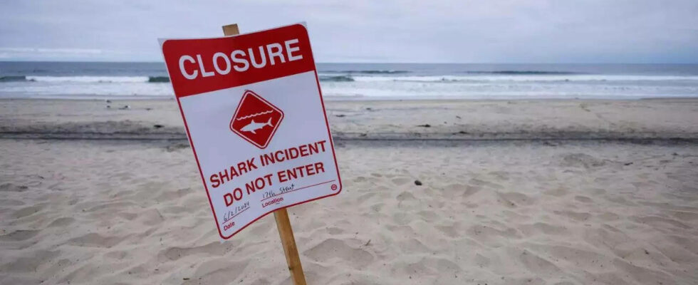 Einige Straende des Florida Panhandle sind nach zwei gemeldeten Haiangriffen