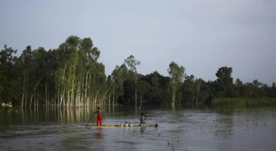 Erdrutsche toeten neun Menschen waehrend Regenfaelle Bangladesch treffen