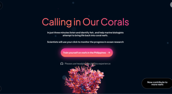 Google setzt auf KI zur Rettung der Korallenriffe
