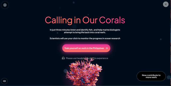 Google setzt auf KI zur Rettung der Korallenriffe