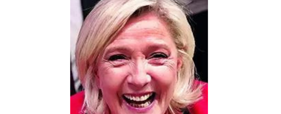 Le Pen droht Macrons Kontrolle ueber das Militaer in Frage