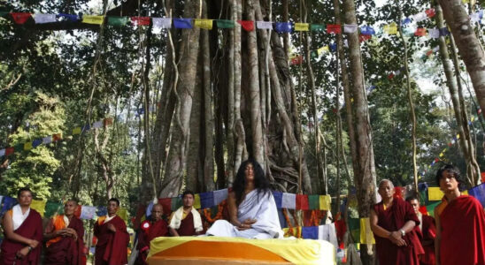 Nepalesischer spiritueller Fuehrer „Buddha Boy wegen sexuellen Missbrauchs einer Minderjaehrigen