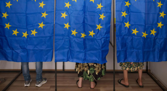 Niederlage der Gruenen bei EU Parlamentswahlen koennte Klimaambitionen schwaechen Weg zur