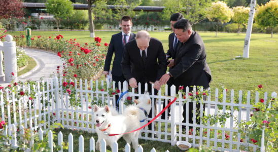 Nordkoreas Diktator Kim schenkt dem russischen Praesidenten Putin ein Hundepaar