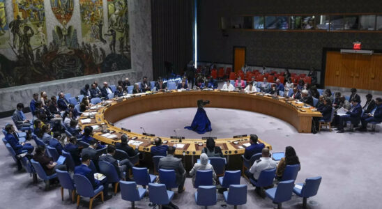USA fordern UN Sicherheitsrat auf ueber Unterstuetzung des Waffenstillstandsplans fuer Gaza