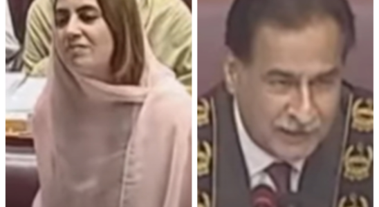 Video einer pakistanischen Politikerin im Internet „Warum schaust du mir