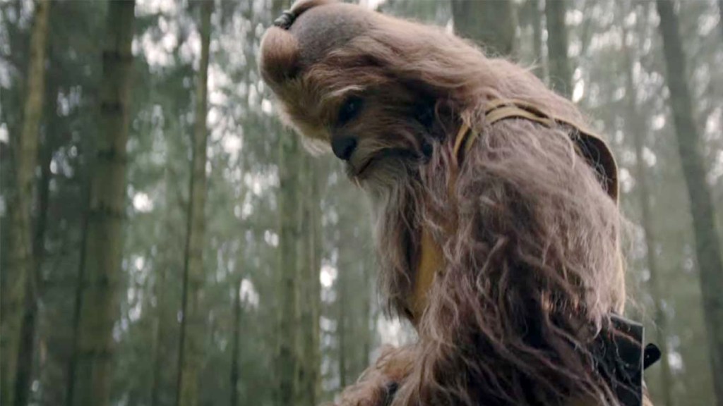 Wookiee Jedi-Ritter Kelnacca in der Disney+ Star Wars-Serie „The Acolyte“ blickt in einen Wald