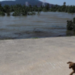 Bewohner nach Dammbruch an Chinas zweitgroesstem Suesswassersee umgesiedelt