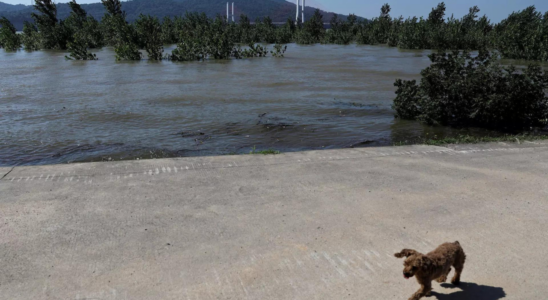 Bewohner nach Dammbruch an Chinas zweitgroesstem Suesswassersee umgesiedelt