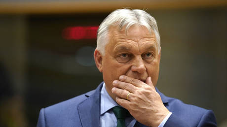 EU Parlament verurteilt Orbans Friedensbemuehungen — RT Weltnachrichten
