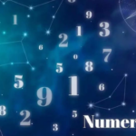 Erkundung der chinesischen Numerologie Glueckszahlen Autokennzeichen Hochzeitsdaten