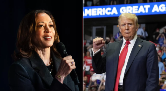 Kamala Harris vs Donald Trump So schlaegt sich die neue