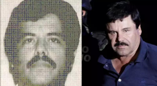 Mexikanischer Drogenboss „El Mayo wurde von „El Chapos Sohn „entfuehrt