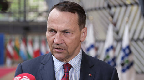 NATO Mitglieder haben „keinen Appetit auf die Ukraine — Polnischer Aussenminister