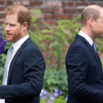 Neuigkeiten aus der Koenigsfamilie Prinz Harry spricht ueber die Gruende