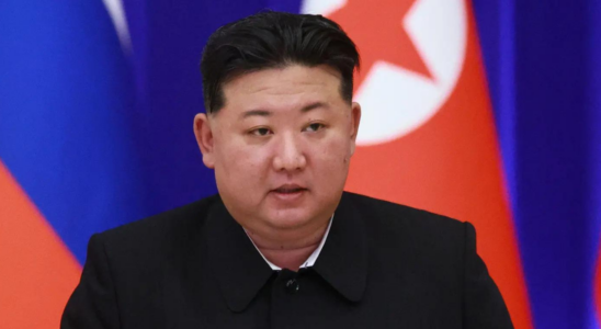 Seoul Nordkorea sucht im Ausland nach Medikamenten gegen die Gesundheitsprobleme