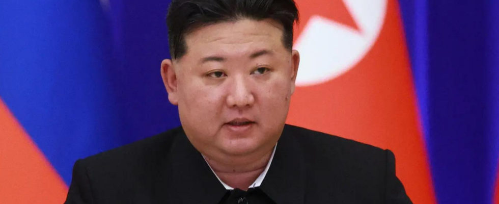 Seoul Nordkorea sucht im Ausland nach Medikamenten gegen die Gesundheitsprobleme