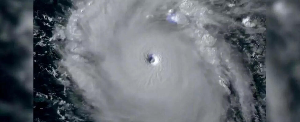 Tropischer Sturm Beryl Hurrikan Beryl verwuestet als rekordverdaechtiger Sturm der