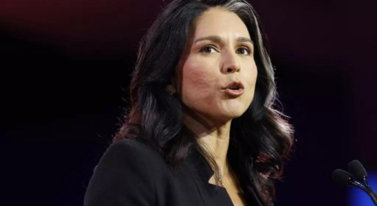 Tulsi Gabbard Tulsi Gabbard sagt Biden habe nicht das Sagen