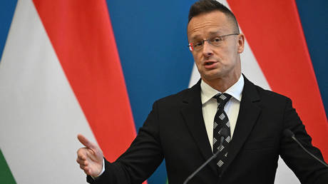 Ungarn bereit Russland Ukraine Gespraeche auszurichten – FM — World