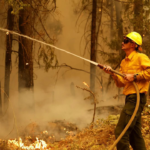 Waldbrand in kalifornischem Park zerstoert mehr als 350000 Hektar und