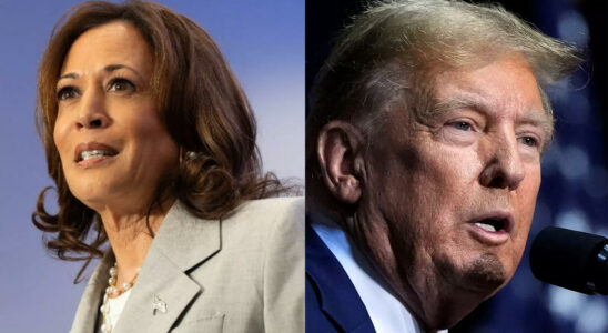 „Sag es mir ins Gesicht Kamala Harris verspottet Donald Trump